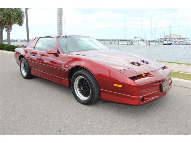 1986 Pontiac Firebird (CC-1717250) for sale in Palmetto, Florida