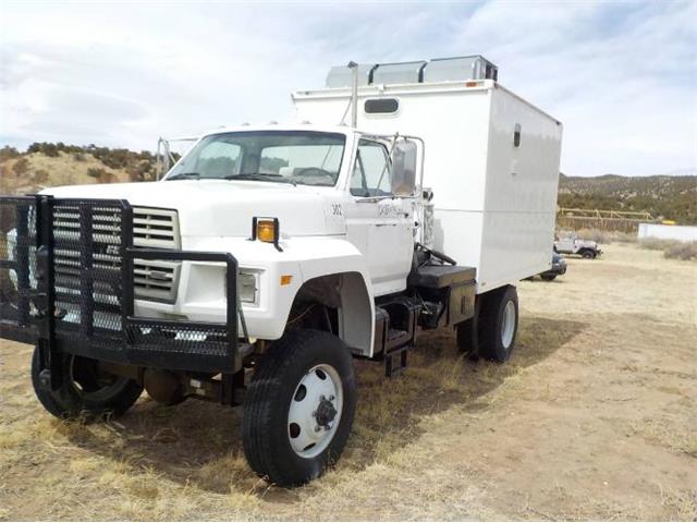 1983 Ford Pickup (CC-1717439) for sale in Cadillac, Michigan