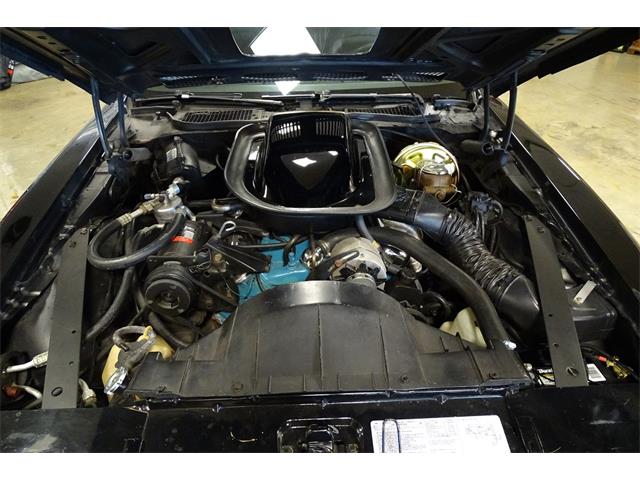 1976 Pontiac Firebird Trans Am (CC-1718231) for sale in Lewisville, Texas