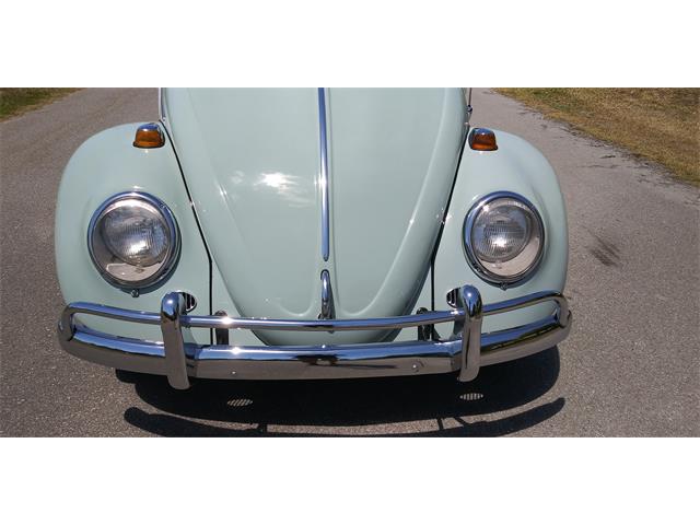 1966 Volkswagen Beetle for Sale | ClassicCars.com | CC-1718297