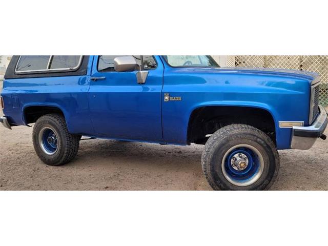 1980 Chevrolet Blazer (CC-1718405) for sale in Cadillac, Michigan