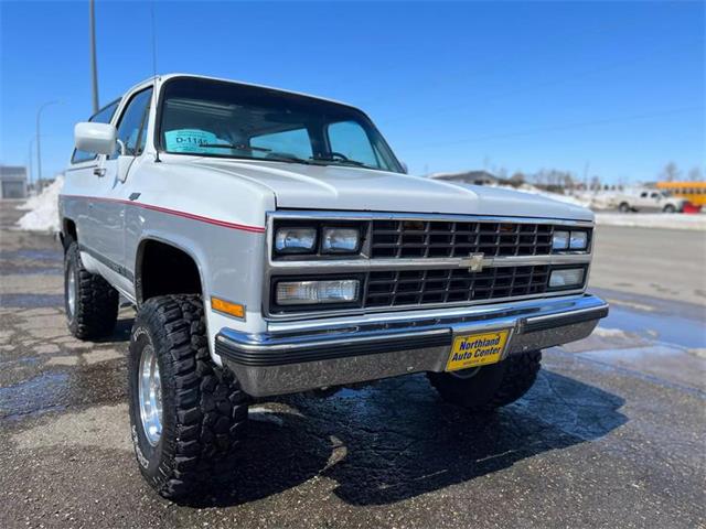 1989 Chevrolet Blazer (CC-1718528) for sale in Webster, South Dakota