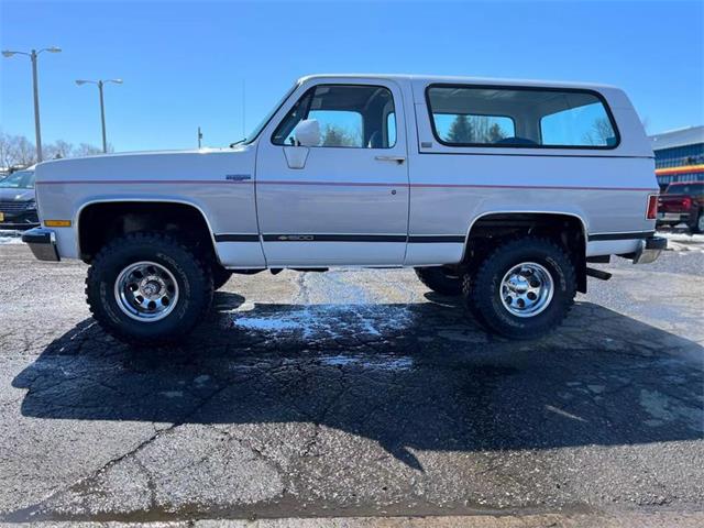 1989 Chevrolet Blazer (CC-1718528) for sale in Webster, South Dakota