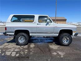 1989 Chevrolet Blazer (CC-1718528) for sale in Webster, South Dakota