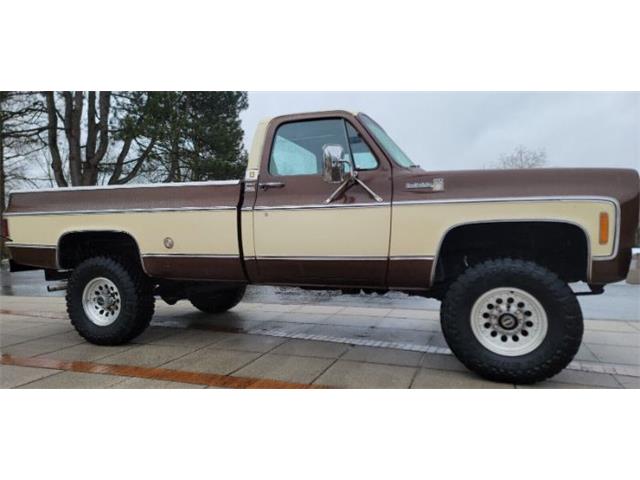 1978 Chevrolet C20 (CC-1718737) for sale in Cadillac, Michigan