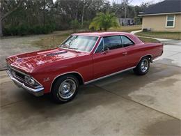 1966 Chevrolet Chevelle SS (CC-1718772) for sale in Fernandina, Florida