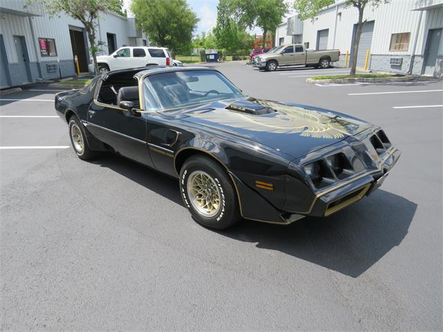 1981 Pontiac Firebird Trans Am SE (CC-1718945) for sale in Apopka, Florida