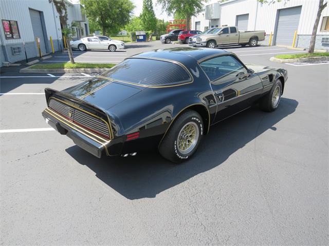 1981 Pontiac Firebird Trans Am SE (CC-1718945) for sale in Apopka, Florida