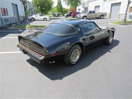 1981 Pontiac Firebird Trans Am SE (CC-1718945) for sale in Apopka, Florida