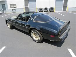 1981 Pontiac Firebird Trans Am SE (CC-1718945) for sale in Apopka, Florida