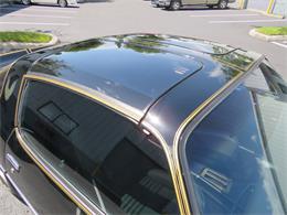 1981 Pontiac Firebird Trans Am SE (CC-1718945) for sale in Apopka, Florida