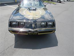 1981 Pontiac Firebird Trans Am SE (CC-1718945) for sale in Apopka, Florida