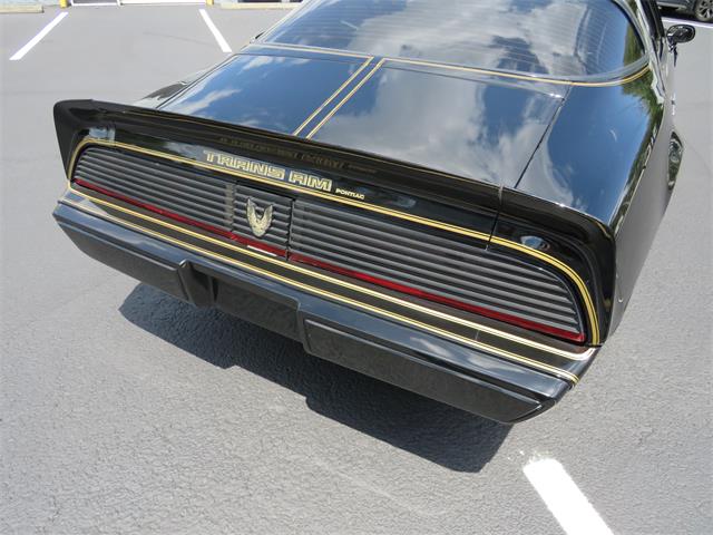 1981 Pontiac Firebird Trans Am SE (CC-1718945) for sale in Apopka, Florida