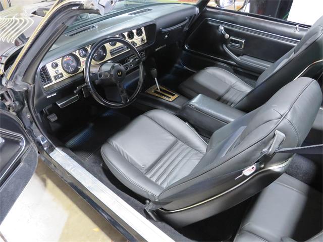 1981 Pontiac Firebird Trans Am SE (CC-1718945) for sale in Apopka, Florida