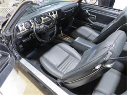 1981 Pontiac Firebird Trans Am SE (CC-1718945) for sale in Apopka, Florida