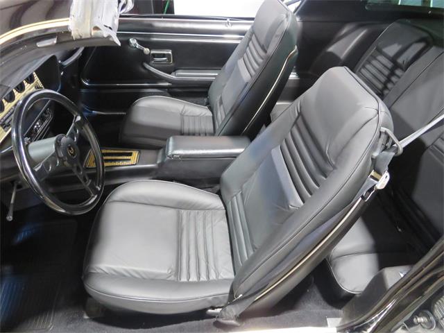 1981 Pontiac Firebird Trans Am SE (CC-1718945) for sale in Apopka, Florida