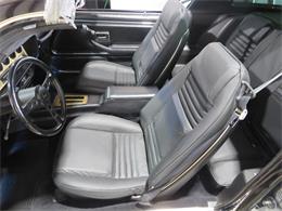 1981 Pontiac Firebird Trans Am SE (CC-1718945) for sale in Apopka, Florida