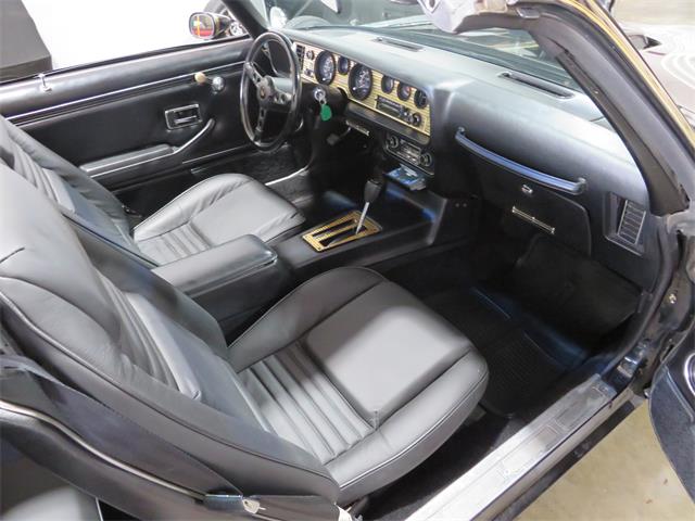 1981 Pontiac Firebird Trans Am SE (CC-1718945) for sale in Apopka, Florida