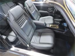 1981 Pontiac Firebird Trans Am SE (CC-1718945) for sale in Apopka, Florida