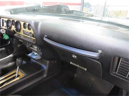 1981 Pontiac Firebird Trans Am SE (CC-1718945) for sale in Apopka, Florida