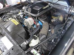 1981 Pontiac Firebird Trans Am SE (CC-1718945) for sale in Apopka, Florida