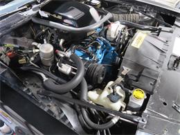 1981 Pontiac Firebird Trans Am SE (CC-1718945) for sale in Apopka, Florida