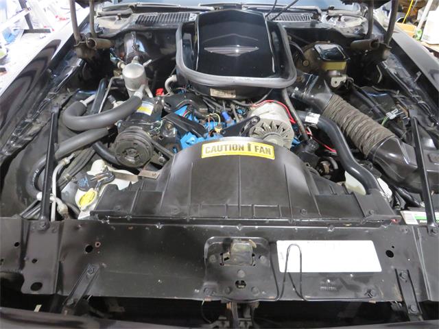 1981 Pontiac Firebird Trans Am SE (CC-1718945) for sale in Apopka, Florida