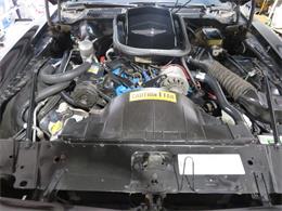 1981 Pontiac Firebird Trans Am SE (CC-1718945) for sale in Apopka, Florida