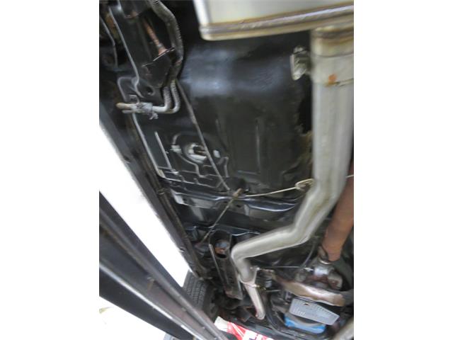 1981 Pontiac Firebird Trans Am SE (CC-1718945) for sale in Apopka, Florida