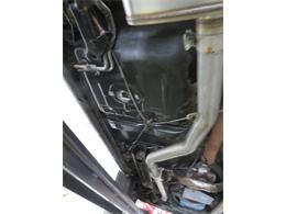 1981 Pontiac Firebird Trans Am SE (CC-1718945) for sale in Apopka, Florida