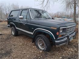 1986 Ford Bronco (CC-1719232) for sale in THIEF RIVER FALLS, Minnesota