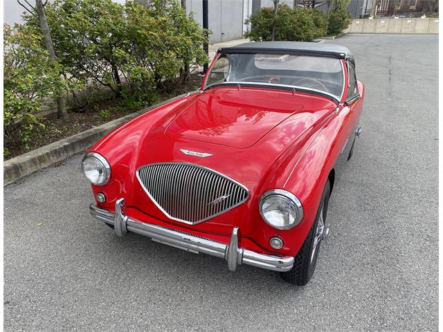1956 Austin-Healey 100-4 BN2 for Sale | ClassicCars.com | CC-1719552