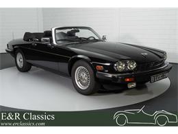 1989 Jaguar XJS (CC-1719776) for sale in Waalwijk, Noord-Brabant