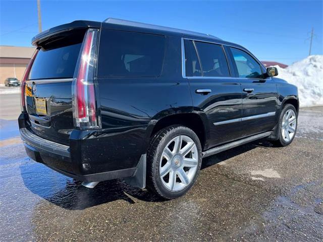 2015 Cadillac Escalade (CC-1719868) for sale in Webster, South Dakota