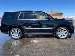 2015 Cadillac Escalade (CC-1719868) for sale in Webster, South Dakota