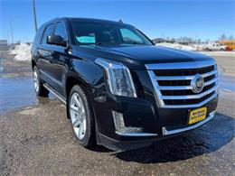 2015 Cadillac Escalade (CC-1719868) for sale in Webster, South Dakota