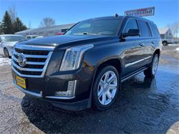 2015 Cadillac Escalade (CC-1719868) for sale in Webster, South Dakota