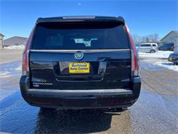 2015 Cadillac Escalade (CC-1719868) for sale in Webster, South Dakota