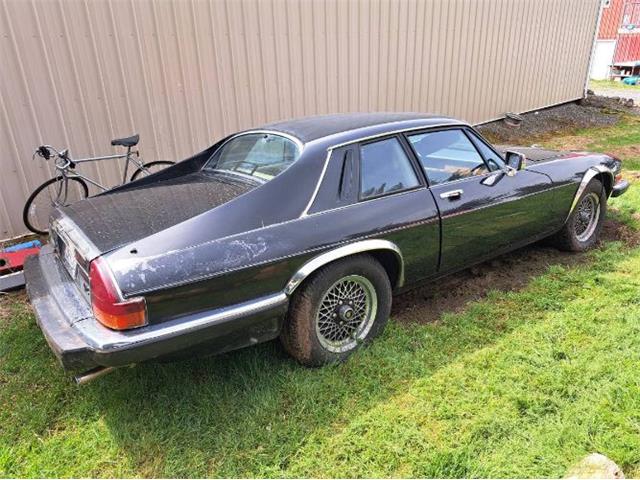 1989 Jaguar XJS (CC-1721037) for sale in Cadillac, Michigan