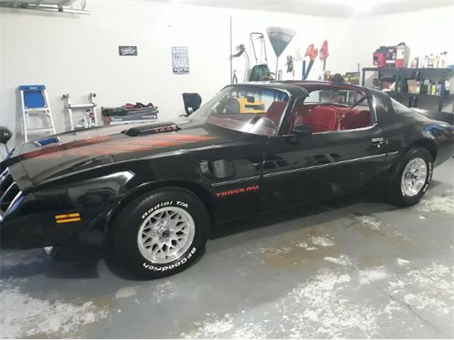 1980 Pontiac Firebird Trans Am (CC-1721332) for sale in Cadillac, Michigan