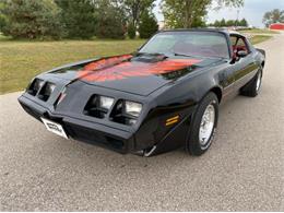 1980 Pontiac Firebird Trans Am (CC-1721332) for sale in Cadillac, Michigan