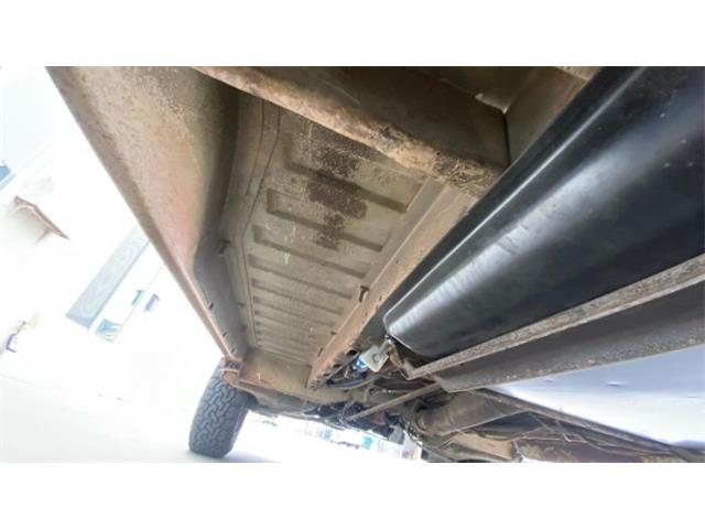 1981 Volkswagen Westfalia Camper (CC-1721351) for sale in Cadillac, Michigan