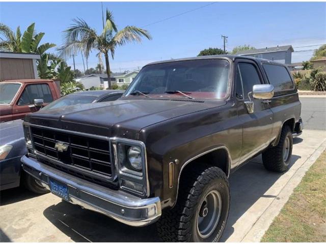 1979 Chevrolet Blazer (CC-1721370) for sale in Cadillac, Michigan