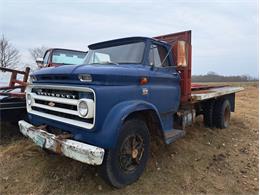 1966 Chevrolet Truck (CC-1720139) for sale in Thief River Falls, MN, Minnesota