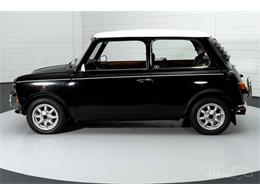 1991 MINI Cooper (CC-1721663) for sale in Waalwijk, Noord-Brabant
