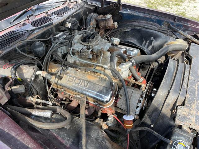 1980 Chevrolet Camaro (CC-1720185) for sale in Winter Garden, Florida