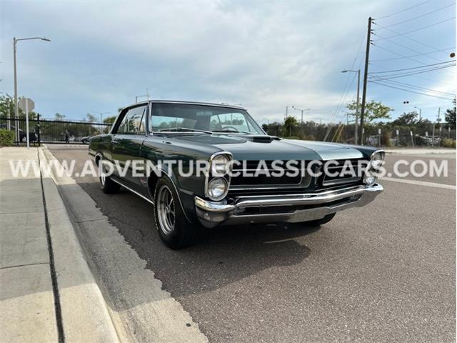 1965 Pontiac GTO (CC-1722014) for sale in Clearwater, Florida