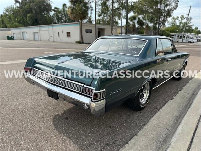 1965 Pontiac GTO (CC-1722014) for sale in Clearwater, Florida
