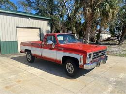 1979 Chevrolet C20 (CC-1722186) for sale in Savannah, Georgia