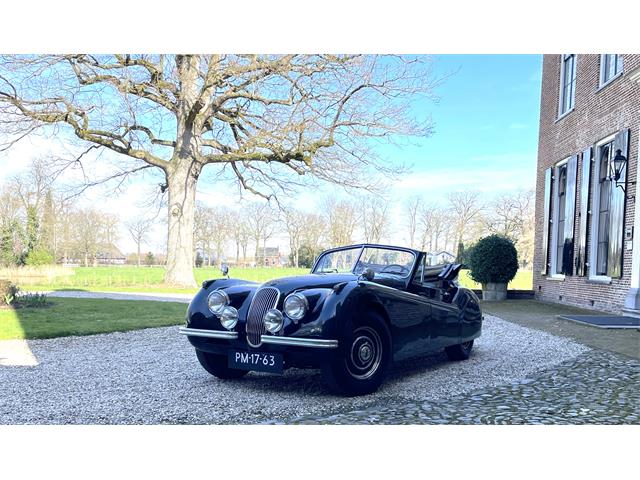 1953 Jaguar XK120 (CC-1722253) for sale in Naarden, Region...